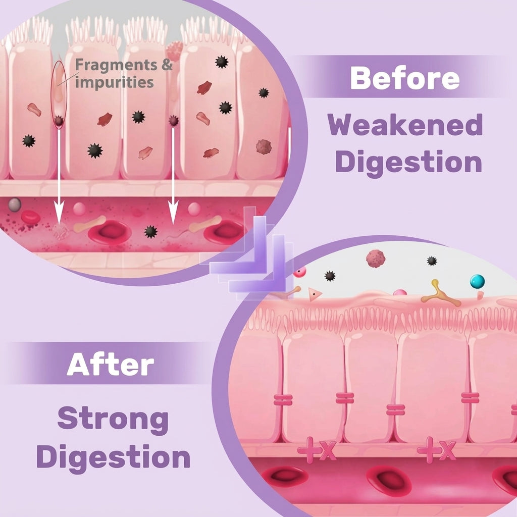 Esophagus Reset bottle
